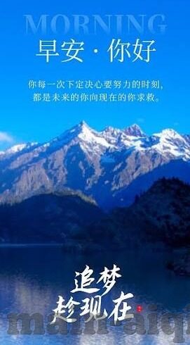 大象传媒轻量版-探索大象传媒轻量版，轻装上阵，重塑内容传播新生态