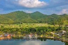 国产av一区二区三区麻豆-迷途皈真，国产网络视频的分化与思考