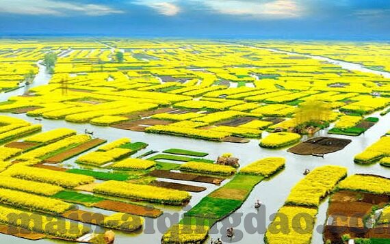 麻豆视频网站app-麻豆视频网站app，休闲娱乐新风尚