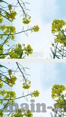免费麻豆传媒-——警惕，网络世界的免费诱惑与风险