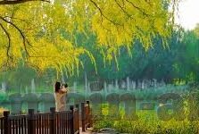 vlog糖心导航-探索Vlog糖心的导航魅力，从兴趣出发，记录生活之美